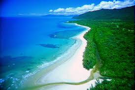 Optional Day Tour  (not included) - Cape Tribulation & Daintree Rainforest