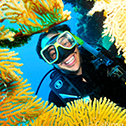 11 Best Underwater Experiences in Australia