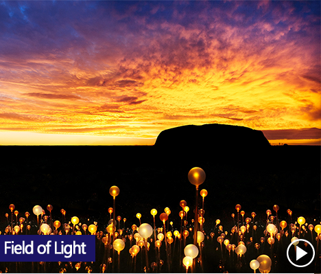 Field of Light art installation by Bruce Munro, is coming to Australia for the first time. Ayers Rock Resort is commited to arts and culture and this year, it’s hosting the biggest Field of Light installation to date in the place that inspired it - Uluru.