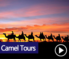 Outback Camel Tours - A camel experience that can't be beaten anywhere in Australia, with the world heritage area of Uluru and Kata Tjuta as our stunning backdrop. 