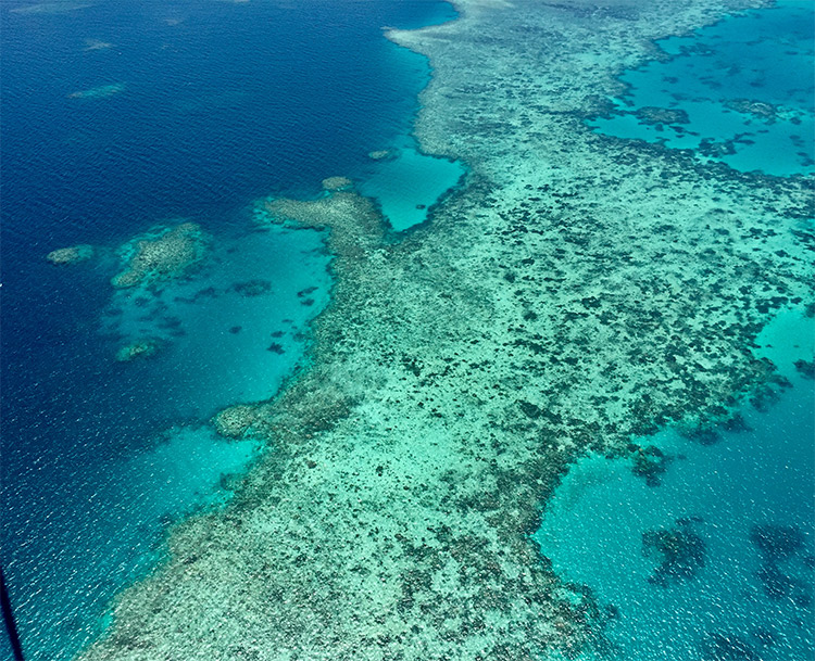 Great Barrier Reef from above photo credit Sheri Hardin
