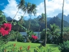 Fiji Resorts - Enjoy lush green landscapes and spectacular views