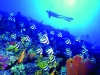 Scuba Diving Fiji Vacations