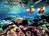 Go on a Great Barrier Reef Adventure