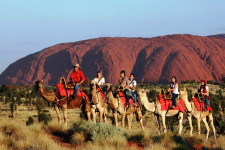 Camel to Sounds of Silence, Ayers Rock, Australia