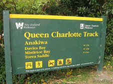 Queen Charlotte Track, New Zealand