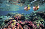 diving tours australia