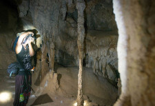 Chillagoe Caves & Outback Tour