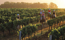 Hunter Valley Horse Tours