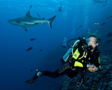 Great Barrier Reef Diving, Australia