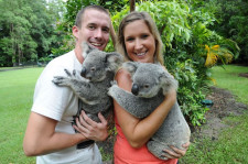 Australia Zoo Tour & Koala Cuddle