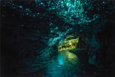 Waitomo Caves, Te Puia & Rotorua Escape