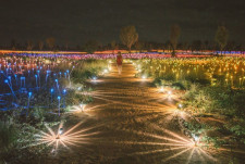 Entry into the Field of Lights
