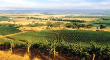 VIP Yarra Valley Wine Excursion