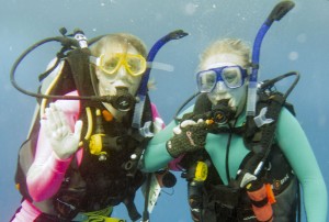 Diving the Great Barrier Reef 