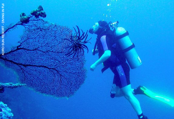 scuba diving in Fiji