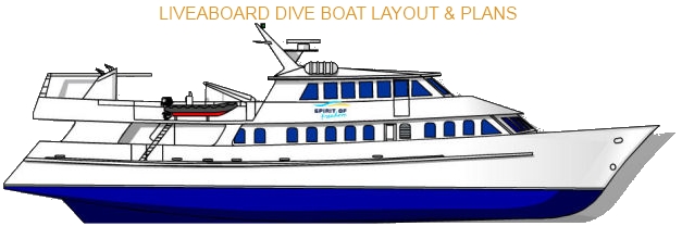 Layout for Liveaboard Scuba Diving Spirit of Freedom