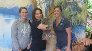 Australian Vacation Trip Review The Kuranda Koala Gardens
