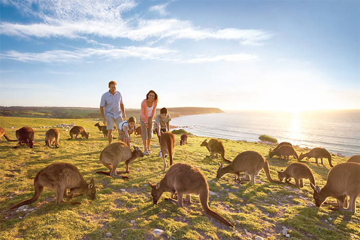 Kangaroo Island credit Tourism Australia