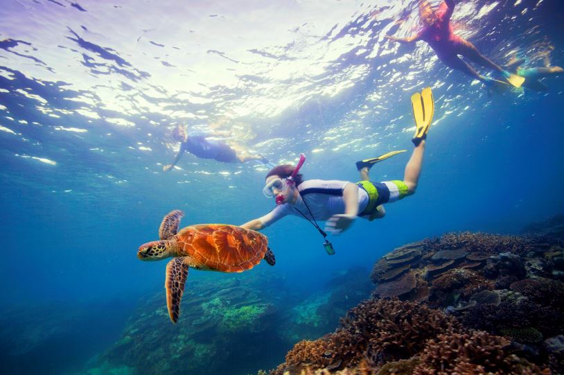 Snokeling the Great Barrier Reef with sea turtle credit Tourism Australia