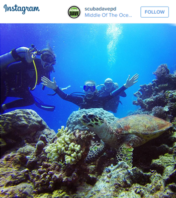 Dive the Great Barrier Reef in Australia