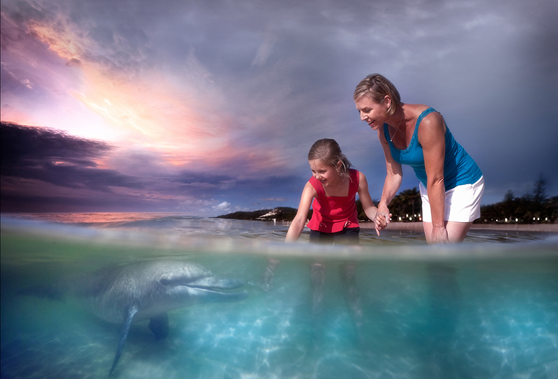 Dolphin feeding Tangalooma island resort Tour Australia