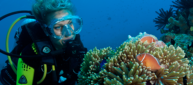 Dive the Great Barrier Reef on your Australian Vacation