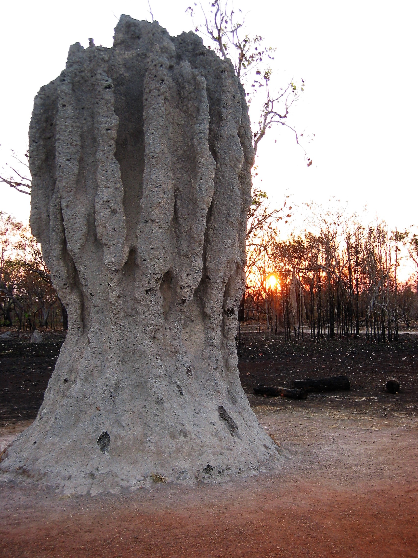 Termite mound, Kakadu National Park, Australia