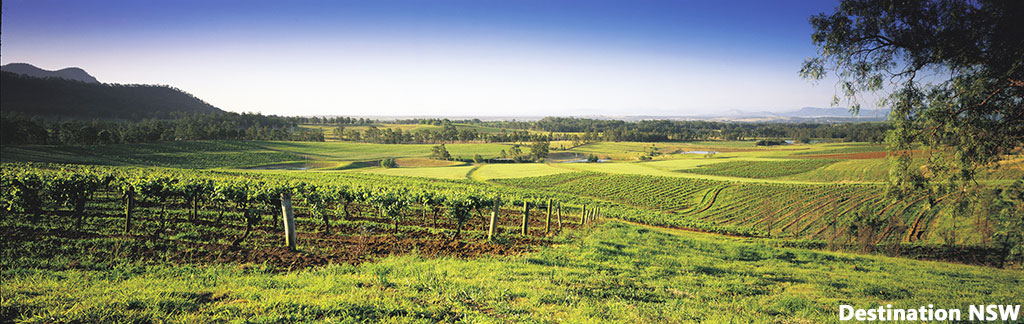 hunter valley driving tour