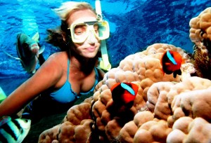 Snorkel Great Barrier Reef