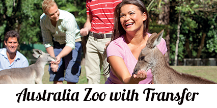 Visit Steve Irwin Zoo