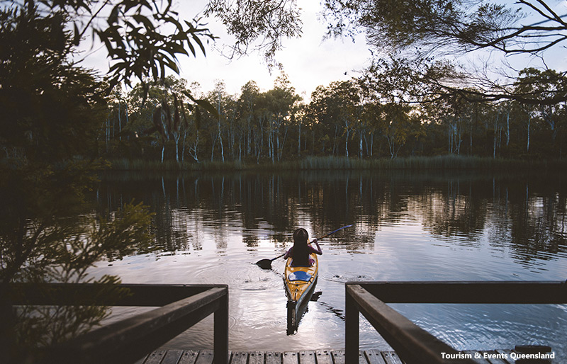 Kayaking Noosa Everglades