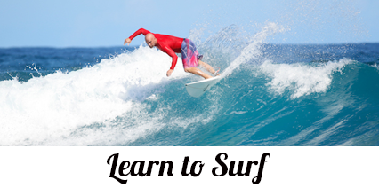 Learn to Surf