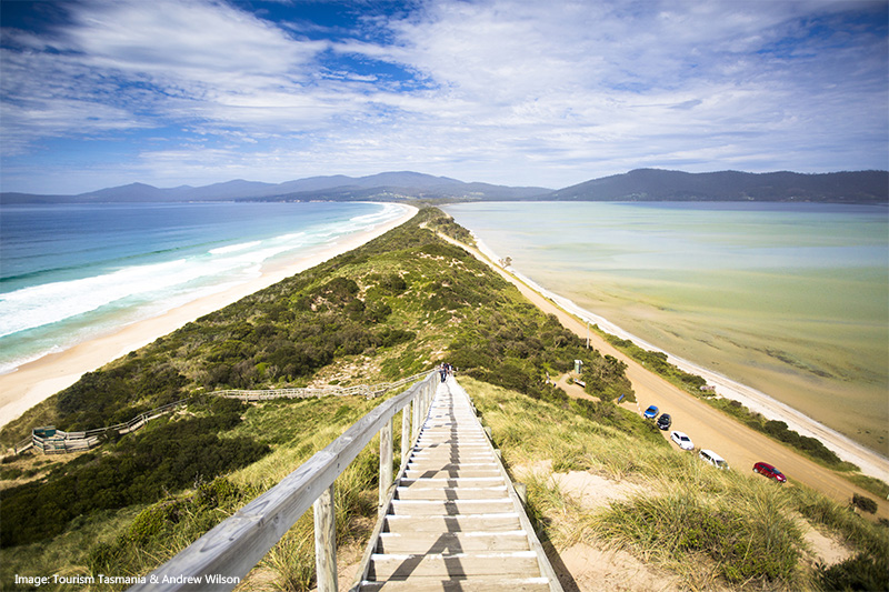 Neck Beach Bruny Island Tasmania credit Tourism Tasmania Andrew Wilson