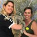 Koala Cuddles in Australia