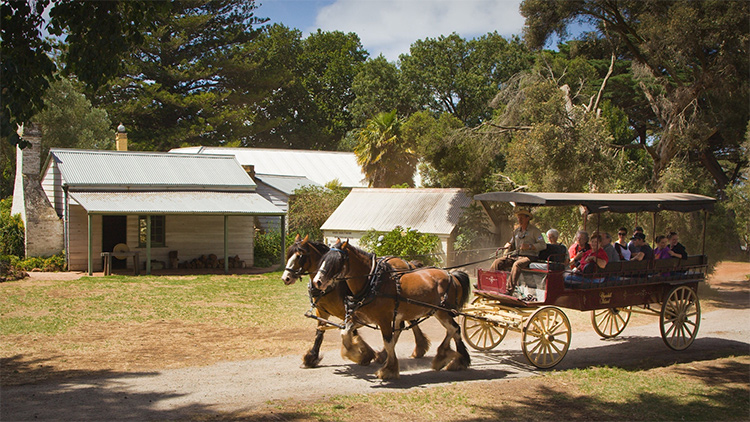 Churchill Island Heritage Farm Wagon Rides credit Visit Victoria