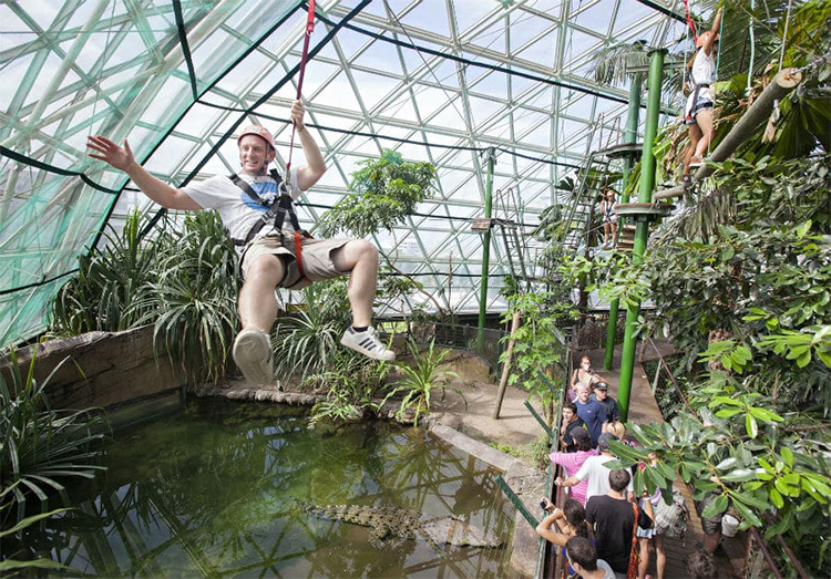 Cairns Zoom and Wildlife Dome is one of the best things to do in Cairns