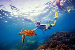 Snokeling the Great Barrier Reef with sea turtle credit Tourism Australia