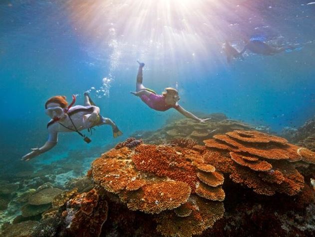 Snorkeling the Great Barrier Reef credit Tourism Australia