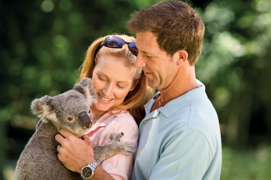 Holding a koala in Gold Coast credit Tourism & Events Queensland
