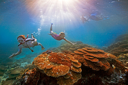 Snorkelers at the Great Barrier Reef credit Tourism Australia