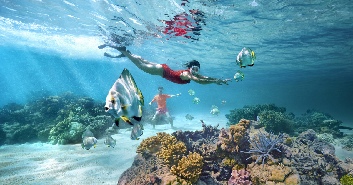 Snorkeling at the Great Barrier Reef Tourism Australia