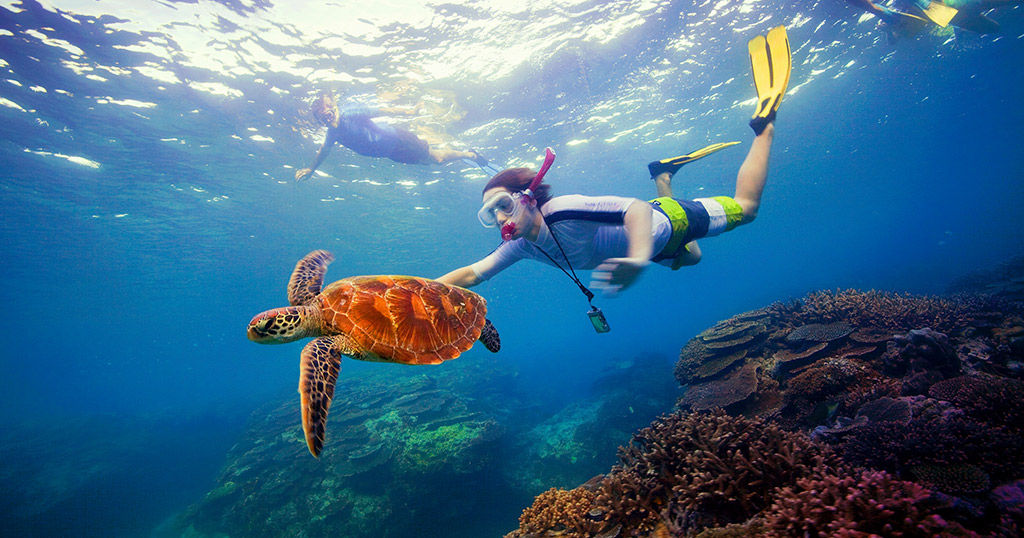 Man snorkeling at the Great Barrier Reef with sea turtle