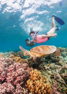 Couple snorkeling at Great Barrier Reef with sea turtle.
