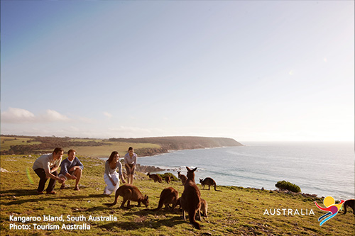 Ad for Australia and New Zealand vacation deal